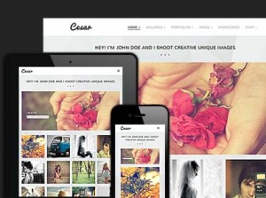 Responsive design template for photographer
