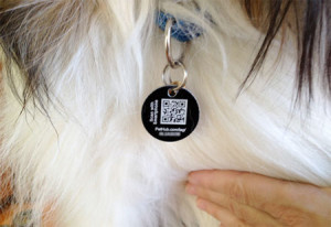 QR Code on pet tag